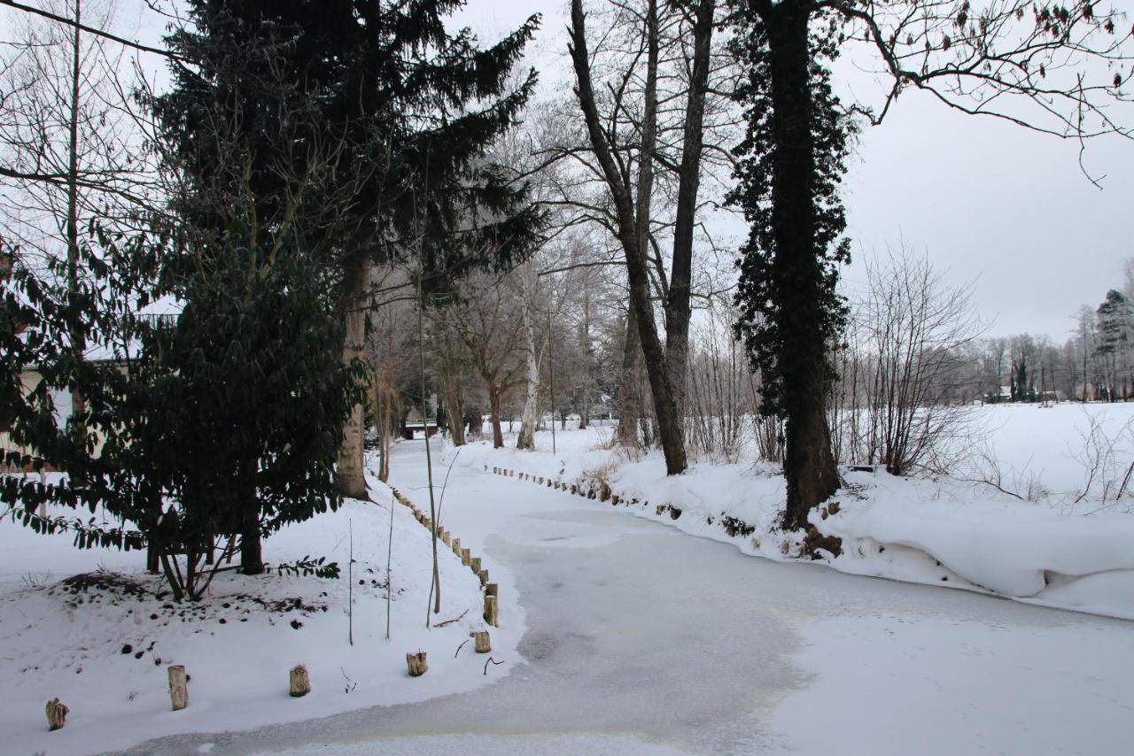 Landgasthof Zur Wildbahn Burg  Exterior foto